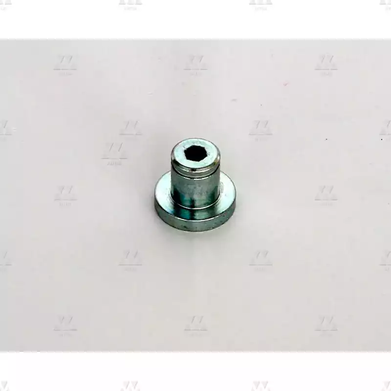 3201056076 | BOLT FOR OPERATOR SLIDING ROLLER