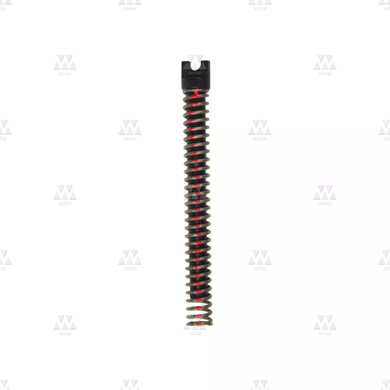 601524H01 | COMPRESSION SPRING, COLD COILED. SPRING STEEL WIRE FOR AMD DOORS
