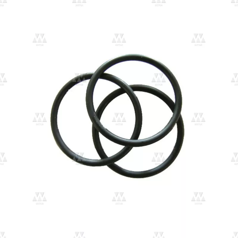 BL-CX00XAAXDBN | PZ O-RING FOR KIT NOISE